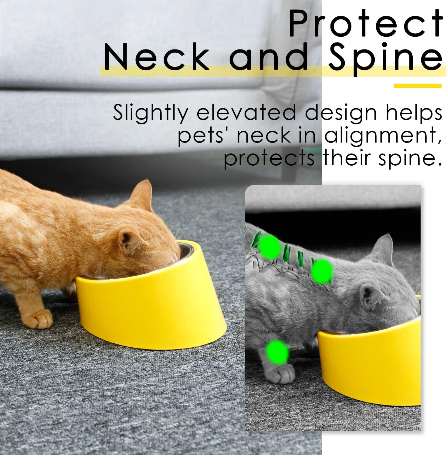 SuperDesign Mess Free 15° Slanted Bowl for Dogs | PetNestUK