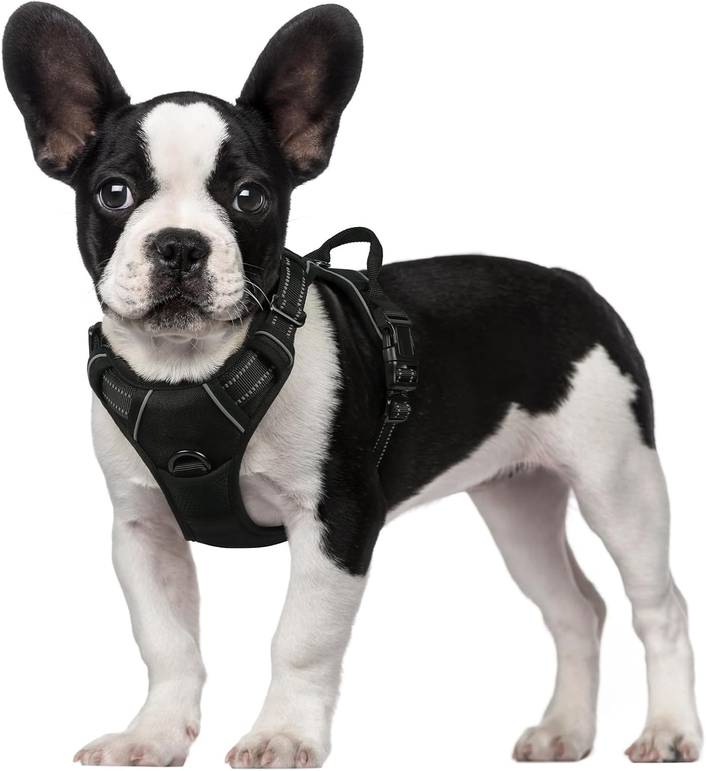 rabbitgoo Dog Harness Dog No Pull Pet Harness | PetNestUK