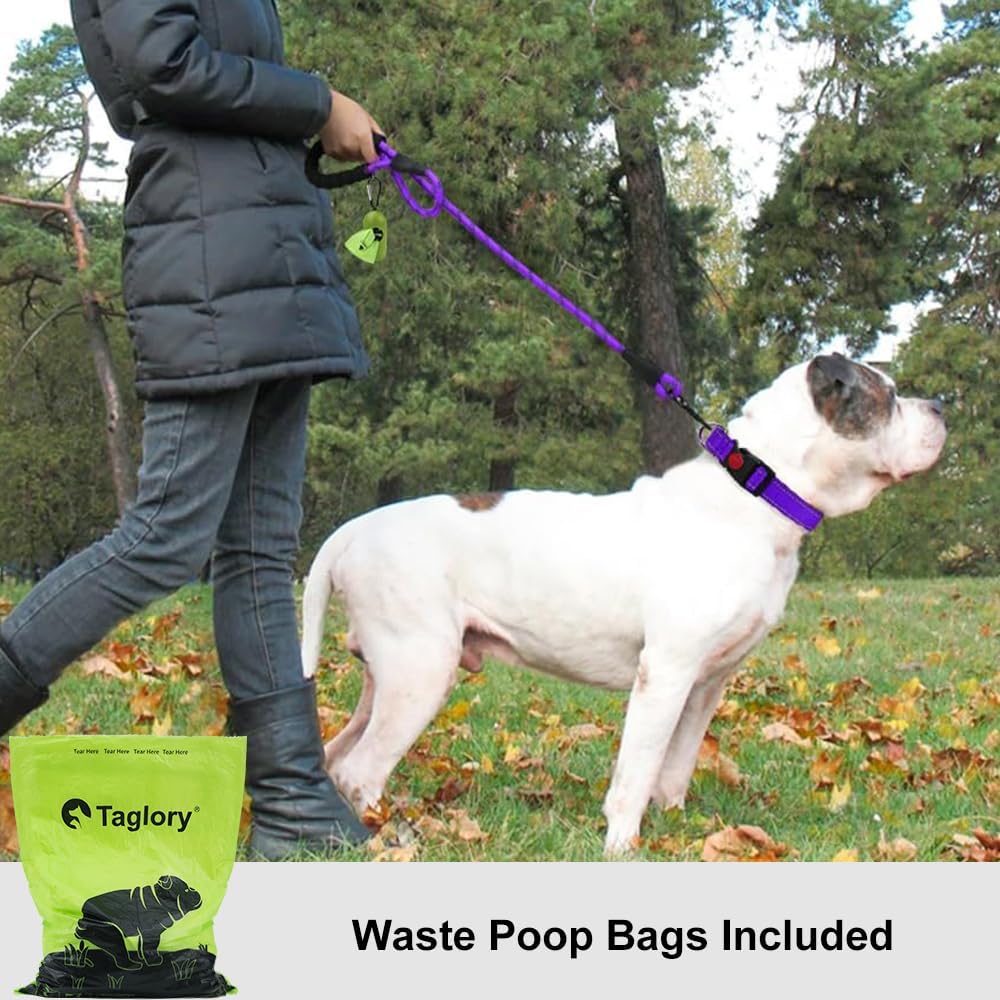 Taglory Rope Dog Lead with Soft Padded Handle, | PetNestUK