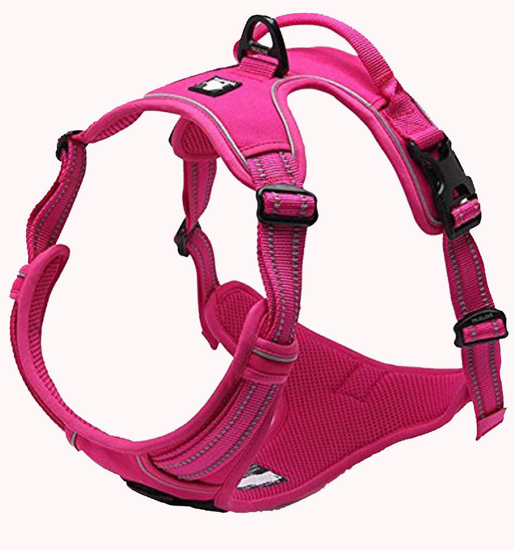 TrueLove Dog Harness TLH5651 No-pull Reflective | PetNestUK