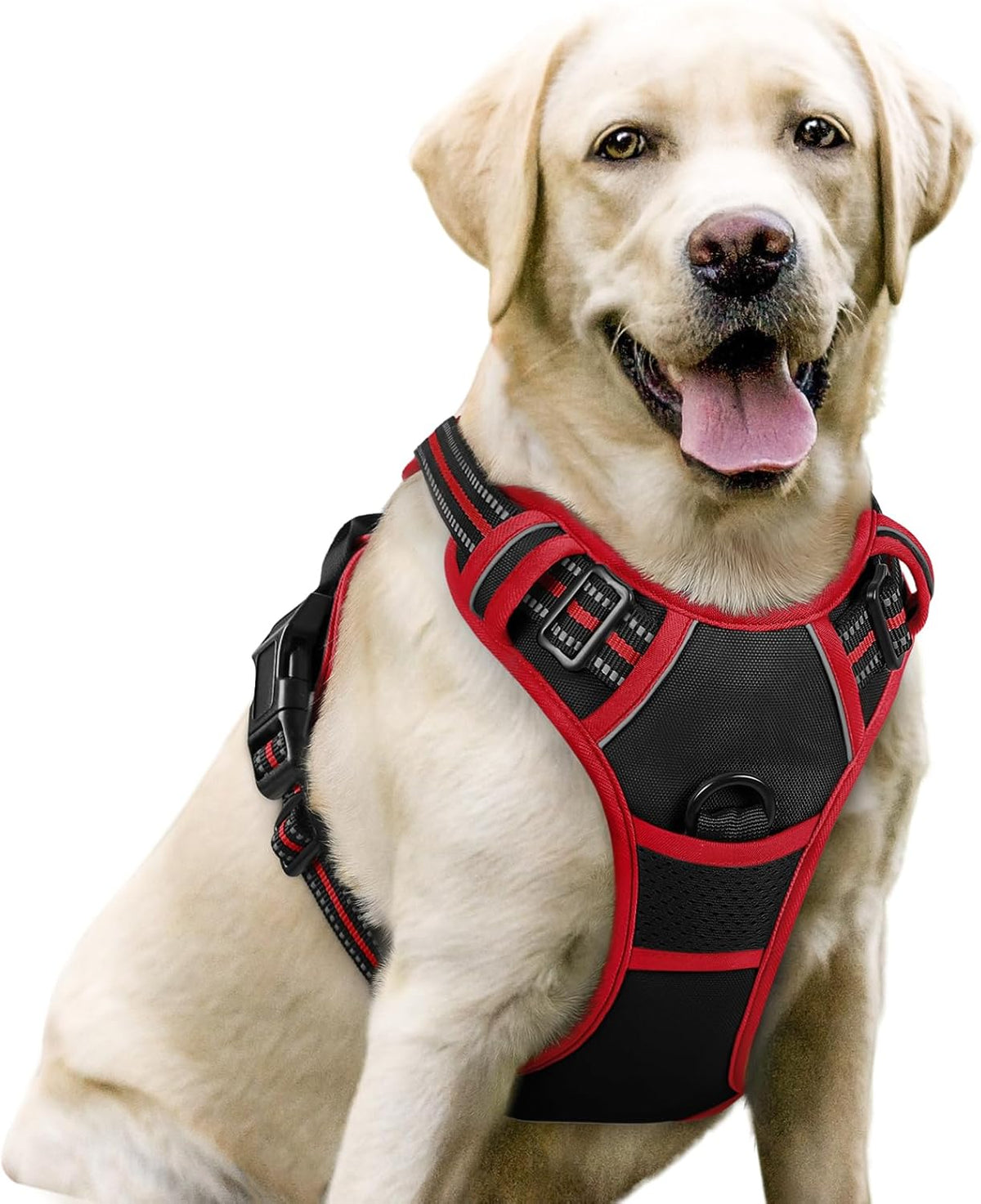 rabbitgoo Padded Dog Harness with Two Lead Clips