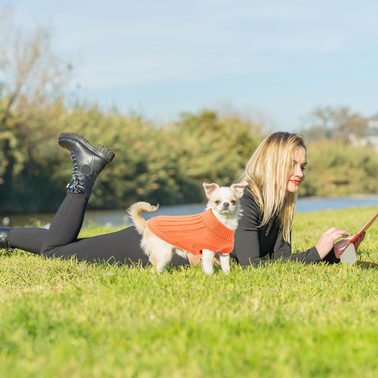Small Dog Jumper, Warm Puppy Sweater for Small | PetNestUK
