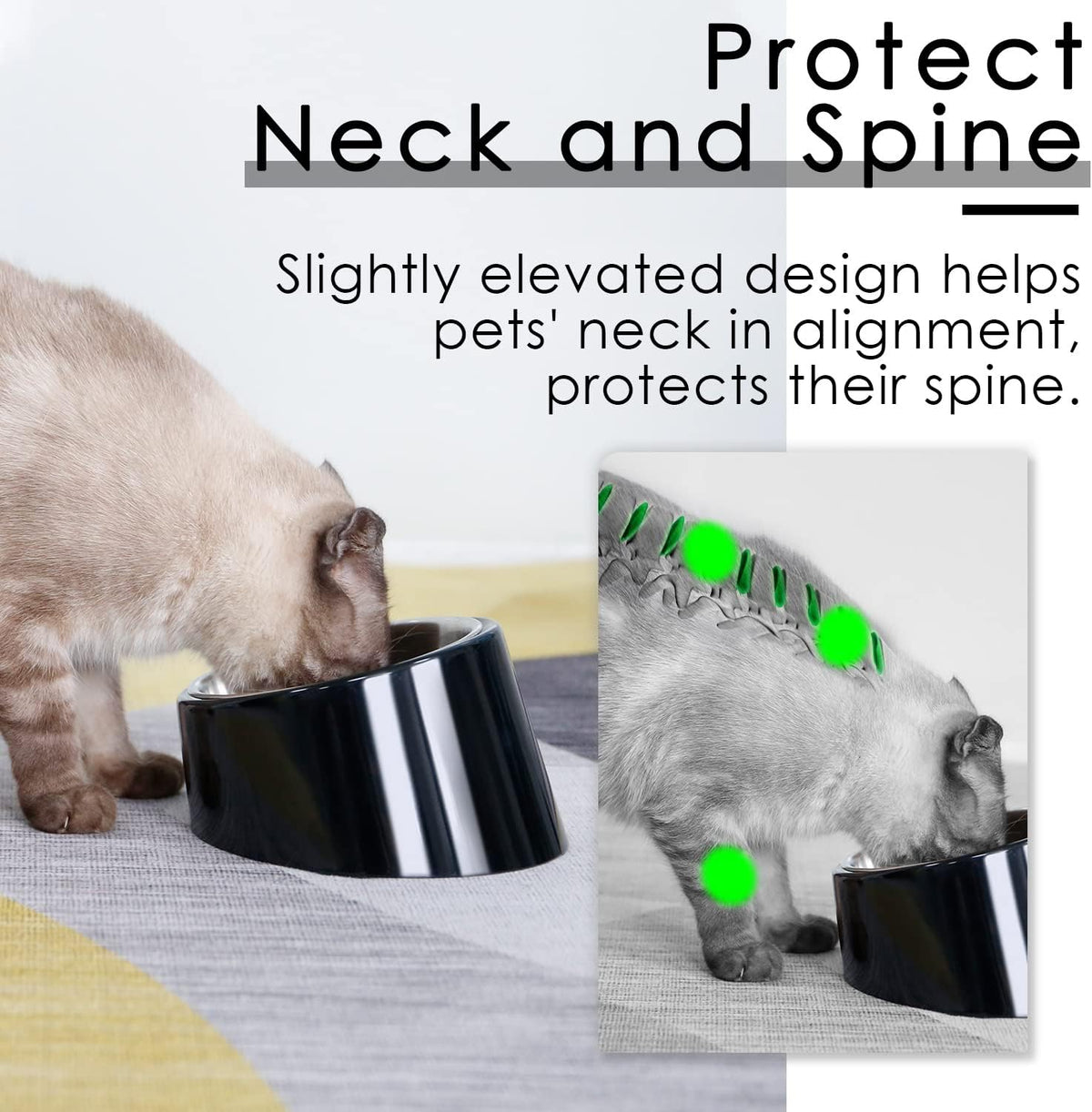 SuperDesign Slanted Stainless-Steel Pet Bowl