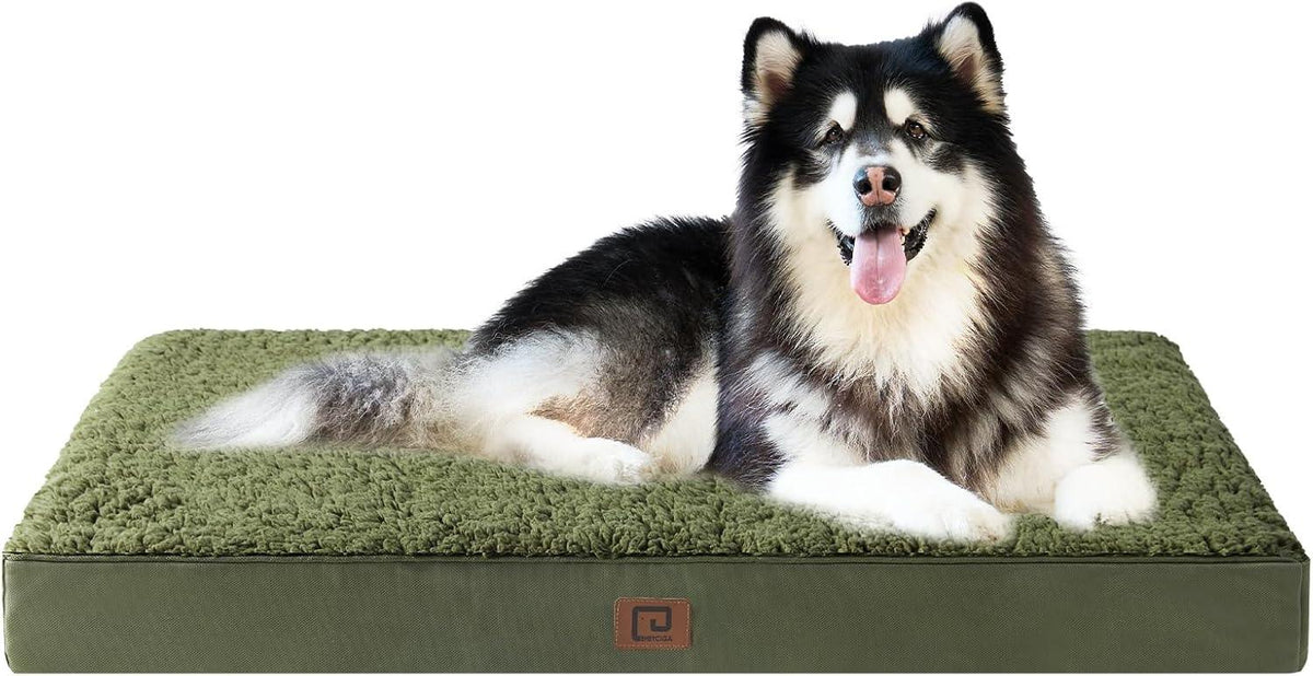 EHEYCIGA Foam Dog Mattress with Removable Cover