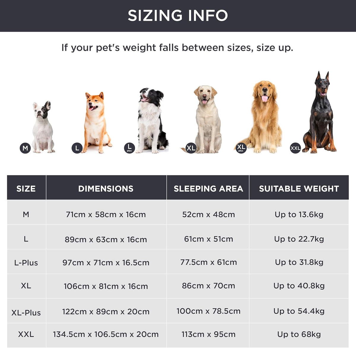 Bedsure Foam Dog Sofa Bed with Bolster Sides