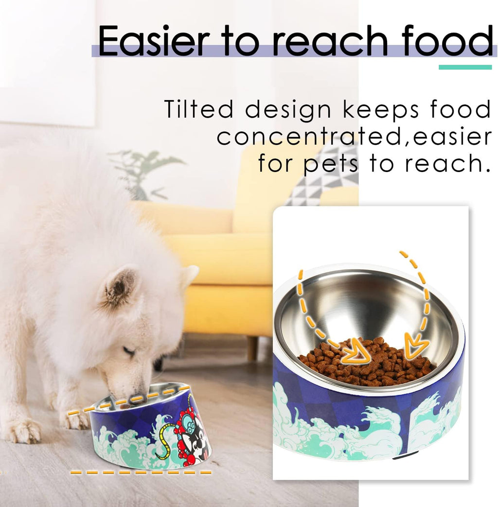 SuperDesign Mess Free 15° Slanted Bowl for Dogs | PetNestUK