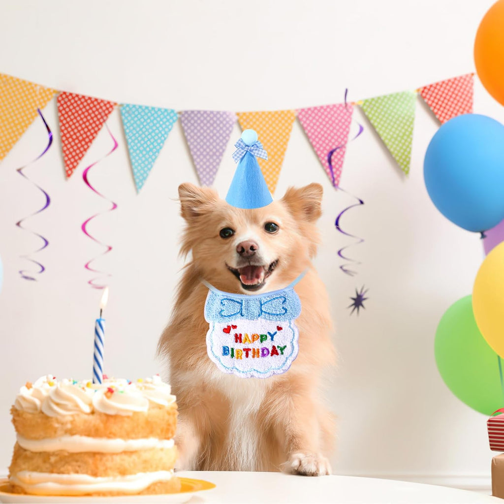Small Dog Cat Birthday Hat Scarf Set,Cute Cat | PetNestUK
