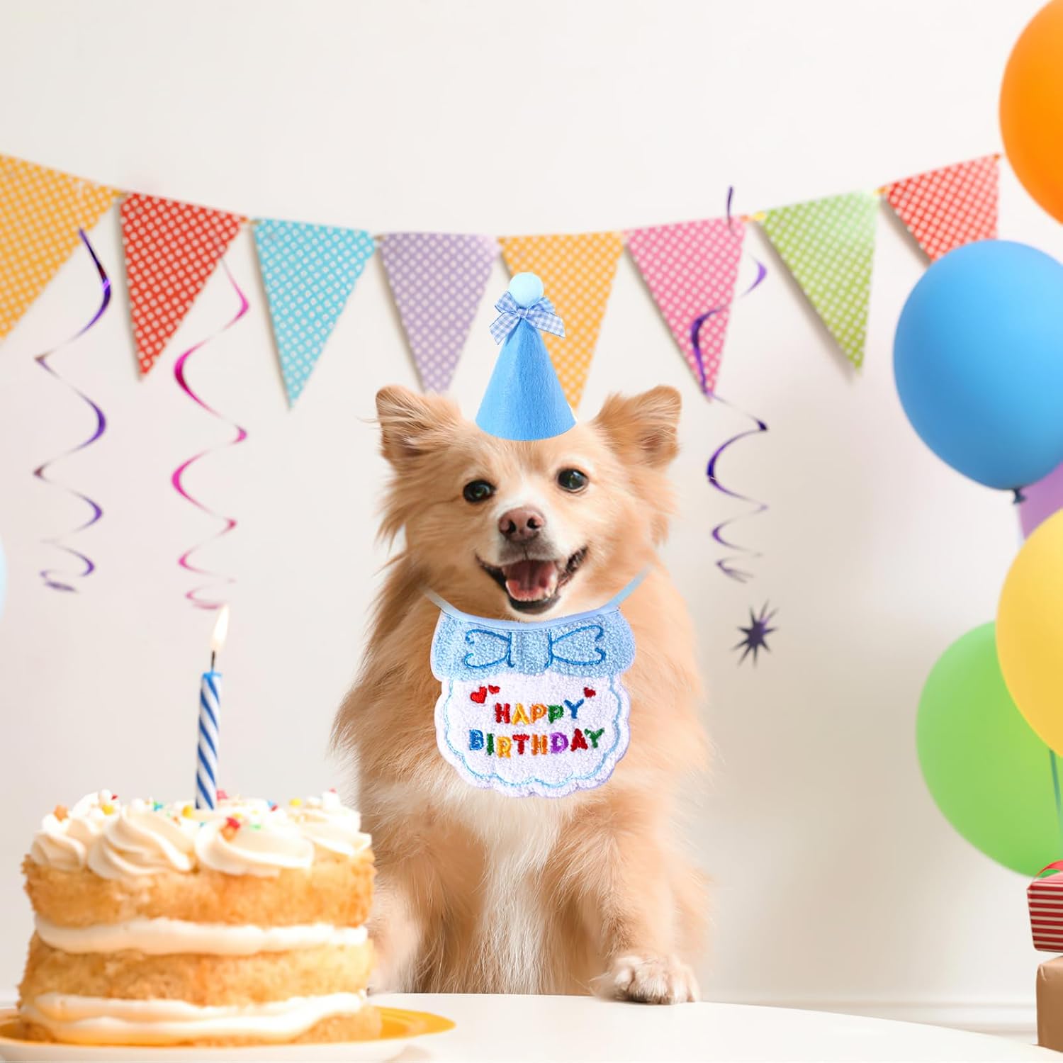 Small Dog Cat Birthday Hat Scarf Set,Cute Cat | PetNestUK
