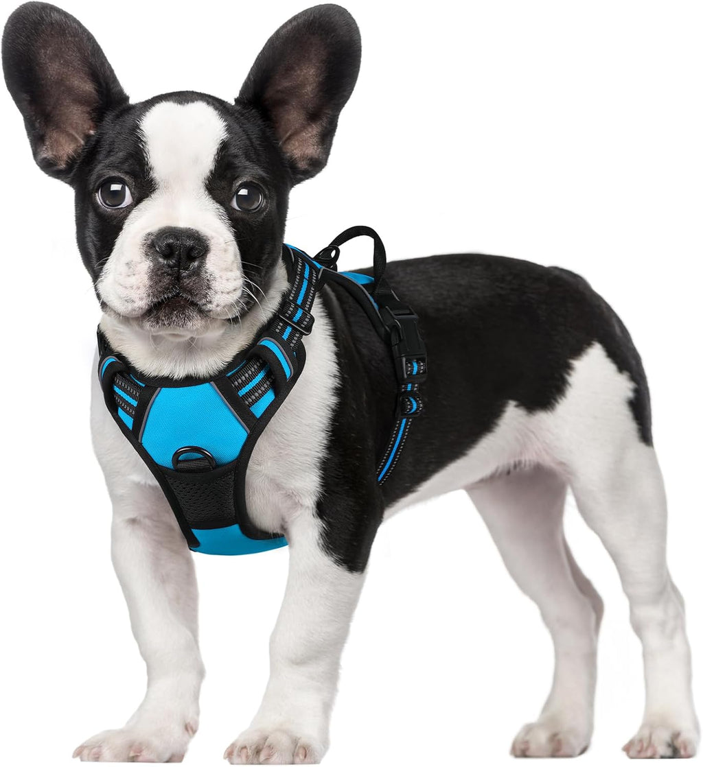 rabbitgoo Dog Harness Dog No Pull Pet Harness | PetNestUK