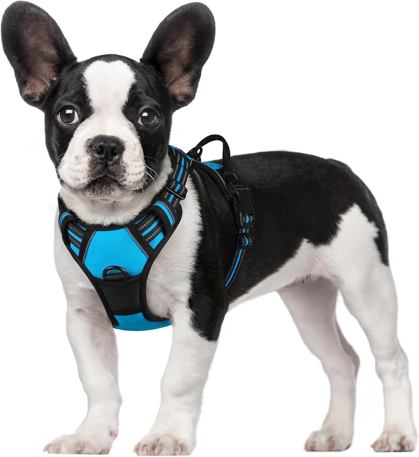 rabbitgoo Dog Harness Dog No Pull Pet Harness | PetNestUK
