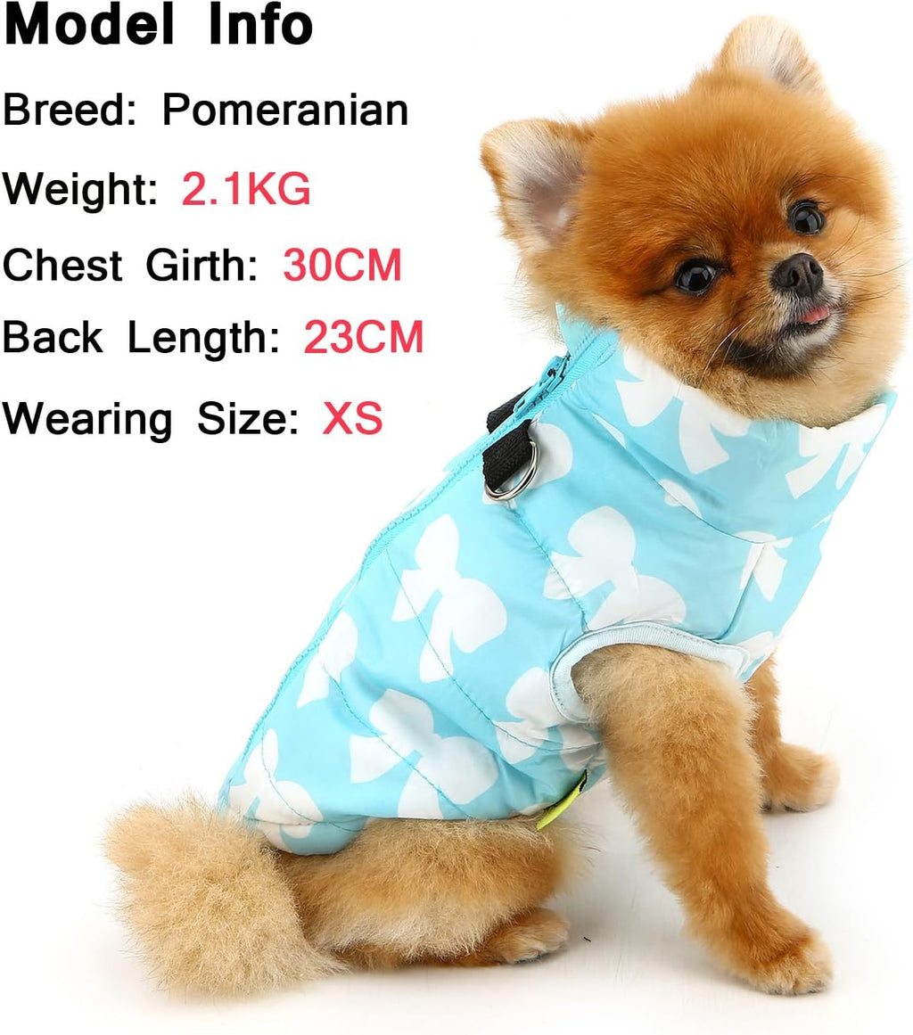 SMALLLEE_LUCKY_STORE Small Dog Cat Winter Coat | PetNestUK