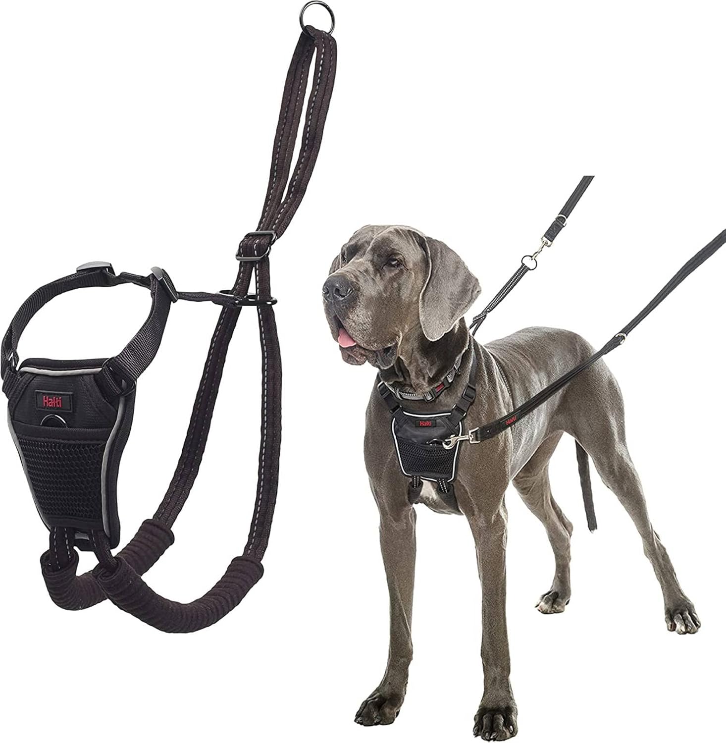 HALTI No Pull Harness Size Medium, Professional | PetNestUK
