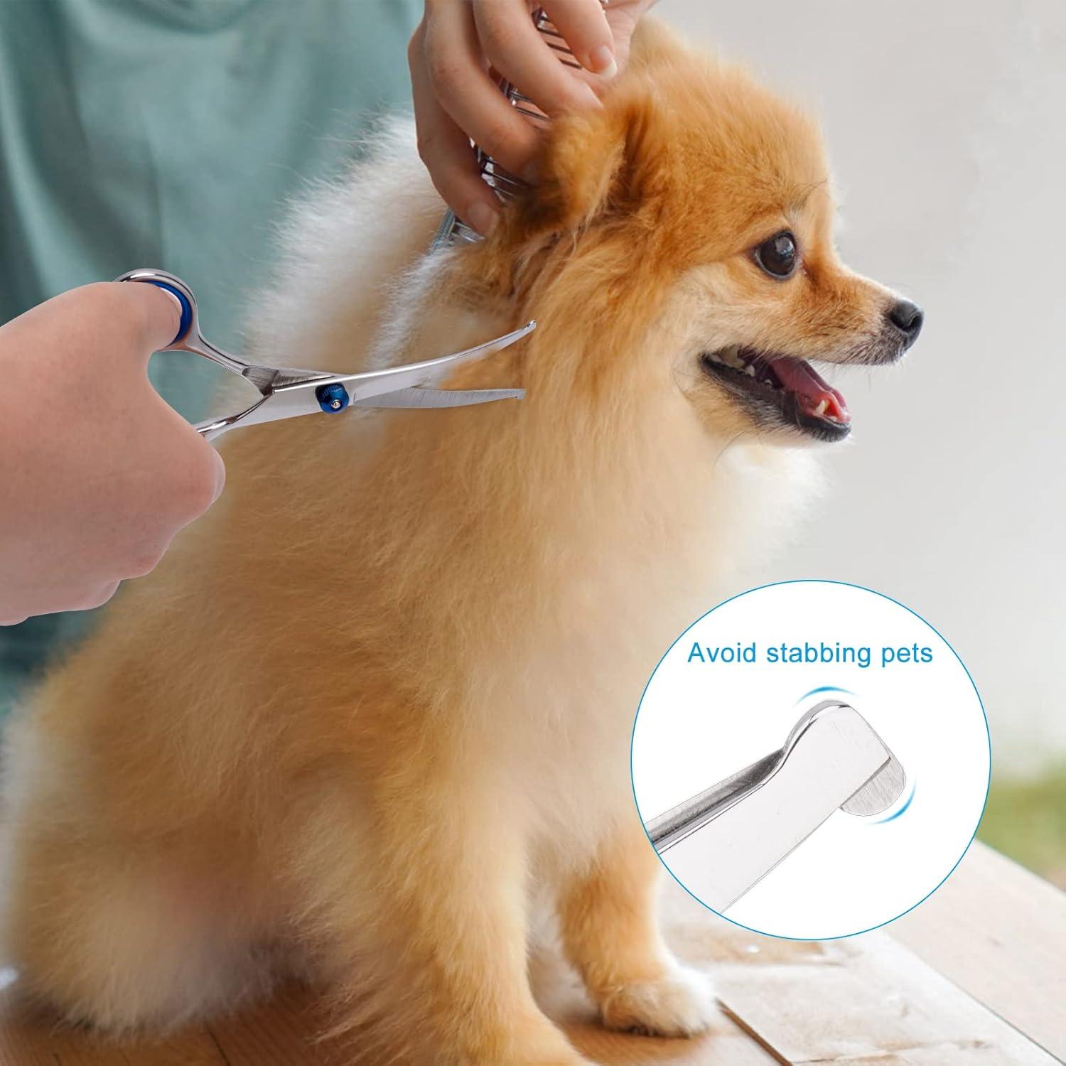 Dog Grooming Scissors with Safety Round Tip, Pet | PetNestUK