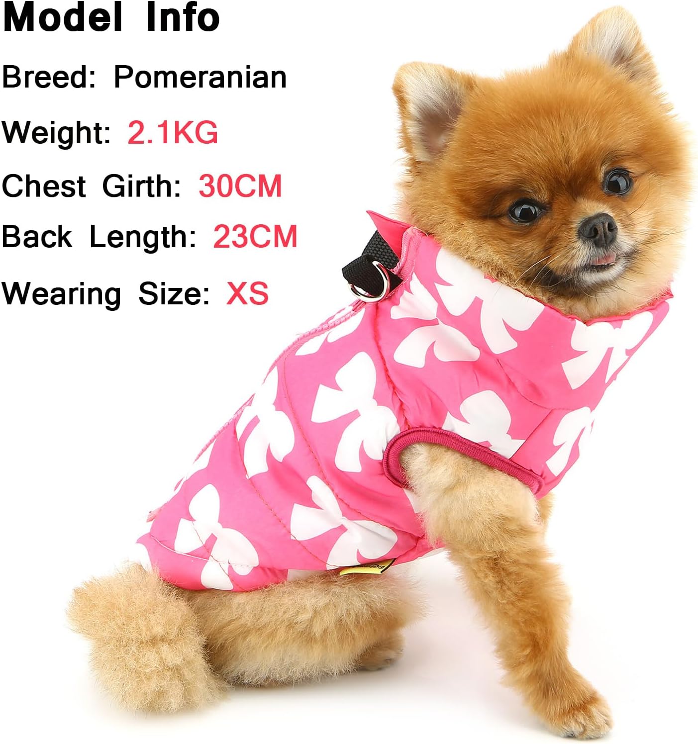 SMALLLEE_LUCKY_STORE Small Dog Cat Winter Coat | PetNestUK