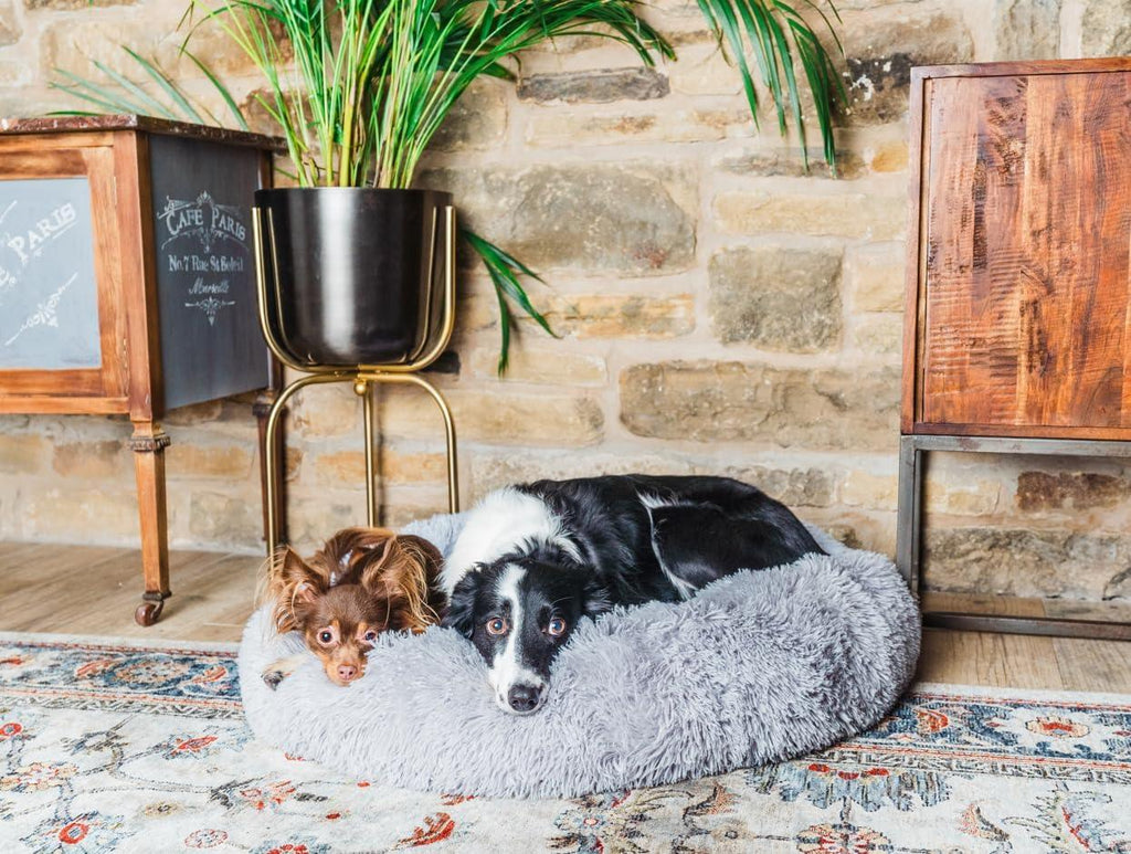 Woof & Whiskers Donut Beds For Dogs Grey Dog Bed | PetNestUK