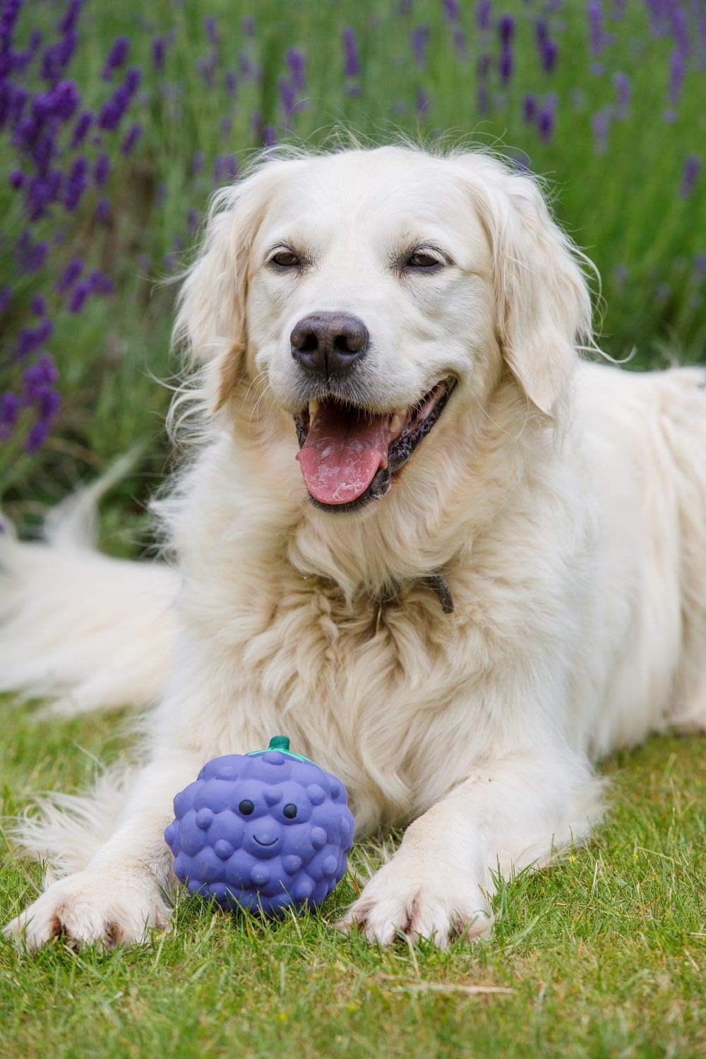 Petface Latex Apple Soft Chew Dog Toy, Large | PetNestUK