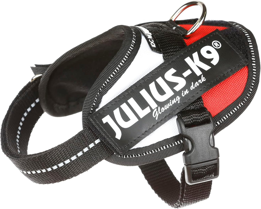 Julius-K9, 16IDC-P-0, IDC Powerharness, dog | PetNestUK