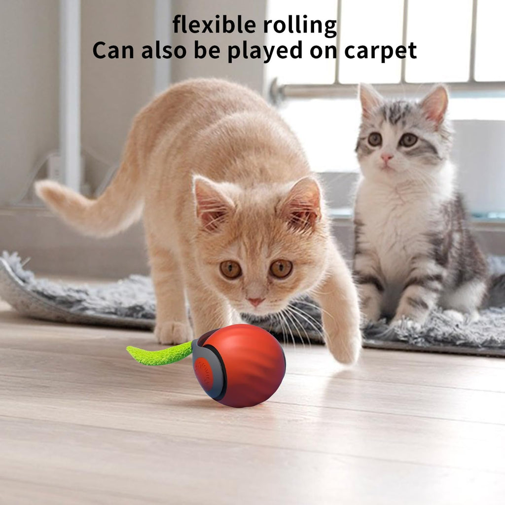 Speedy Tail Cat Toy, Speedy Tail 2.0, Smart | PetNestUK