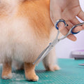 Bubuxy Curved Pet Grooming Scissors