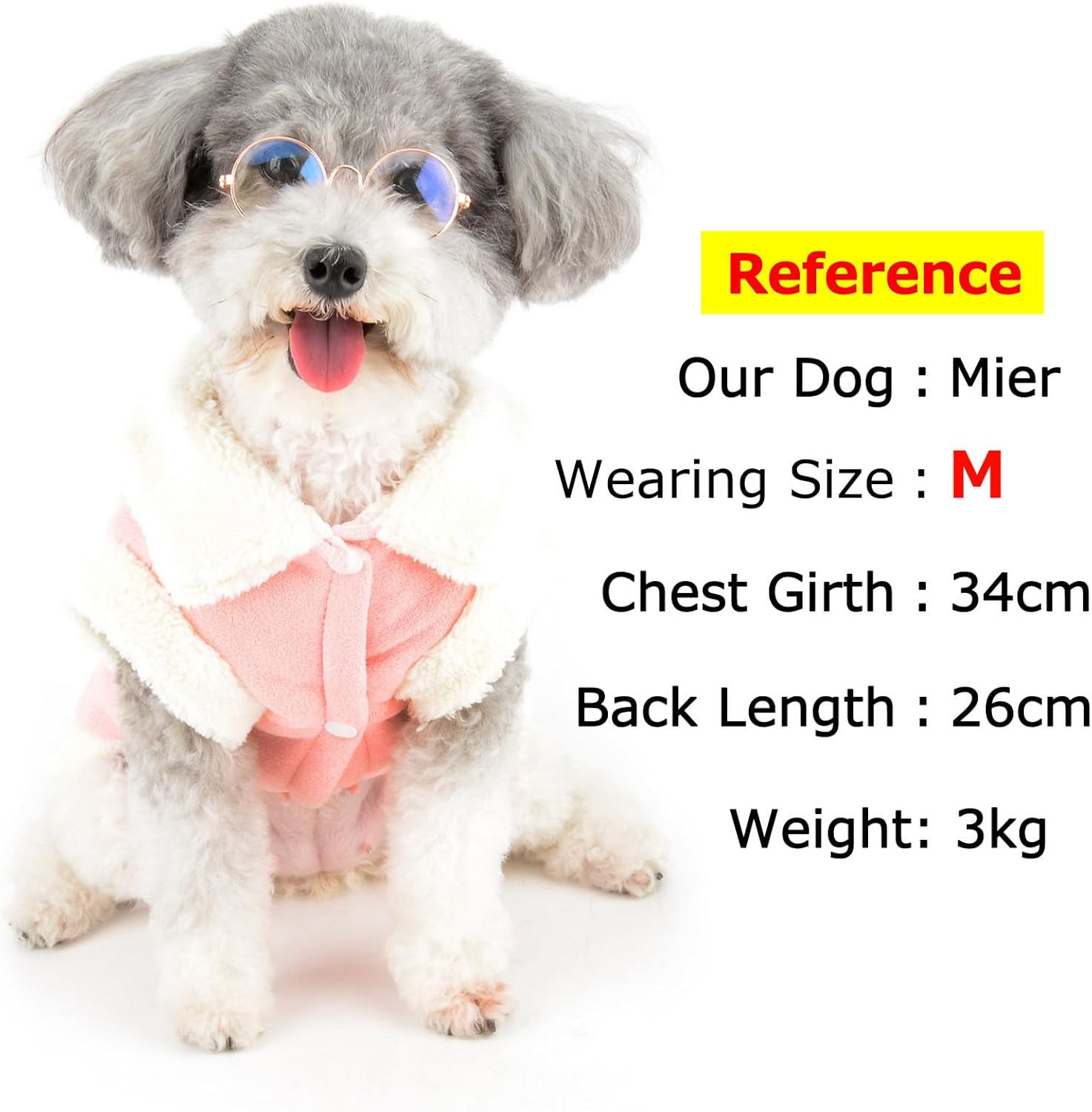 Zunea Dog Winter Coats for Small Dogs Cats | PetNestUK