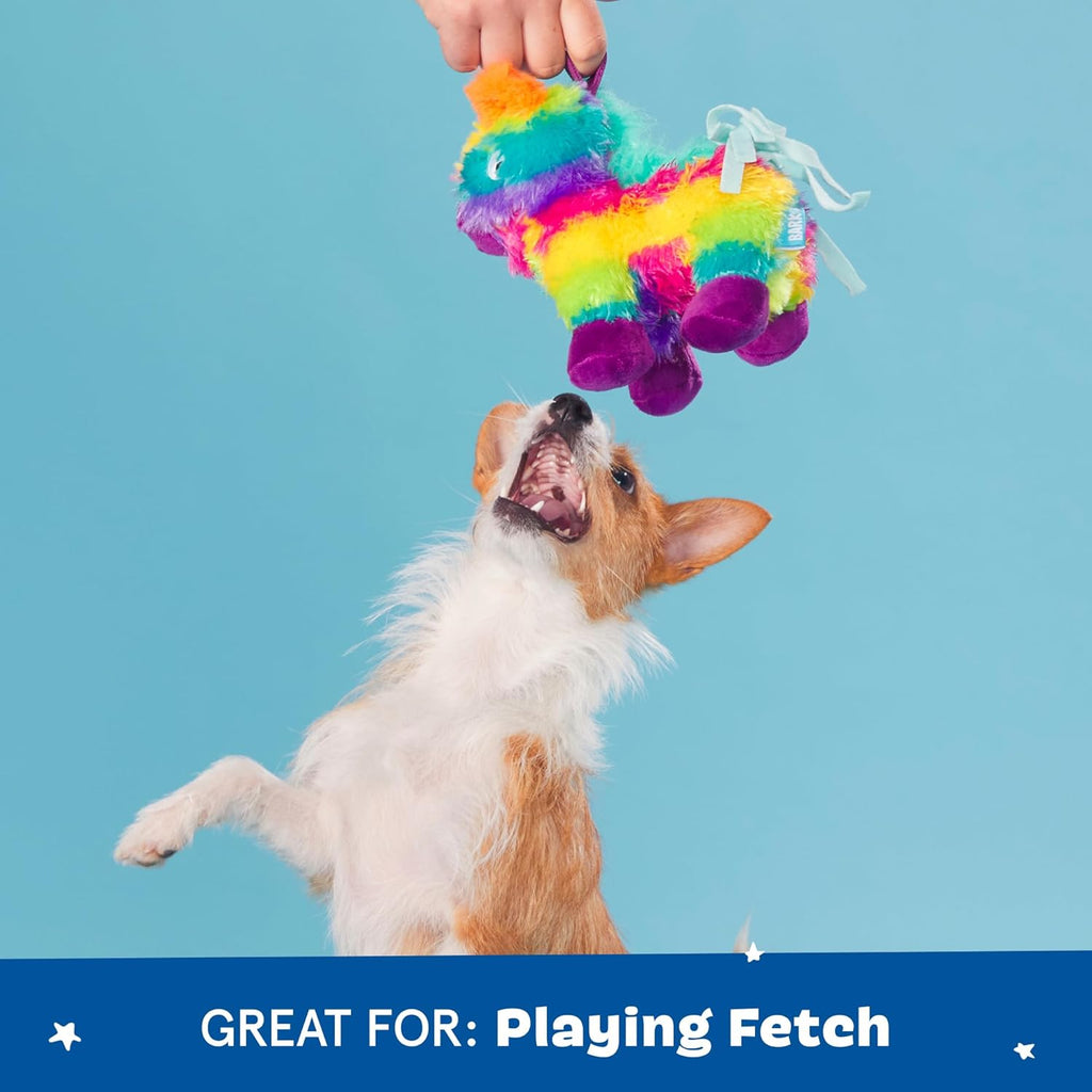 Barkbox Squeaky Dog Toys - Plush and Squeak Chew | PetNestUK