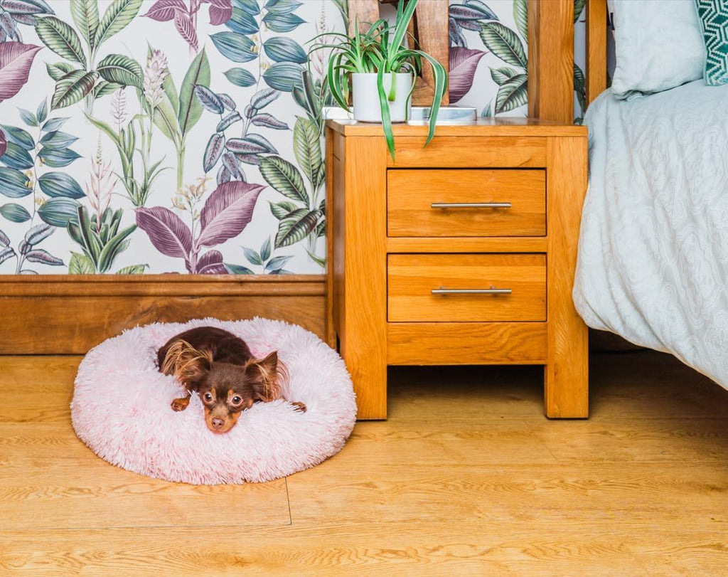 Woof & Whiskers Donut Beds For Dogs Grey Dog Bed | PetNestUK