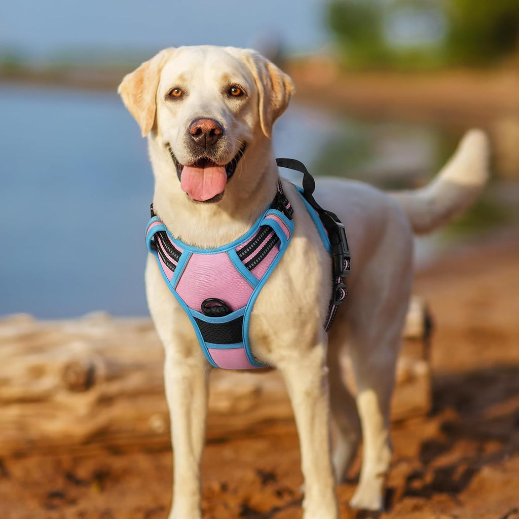rabbitgoo Dog Harness Dog No Pull Pet Harness | PetNestUK