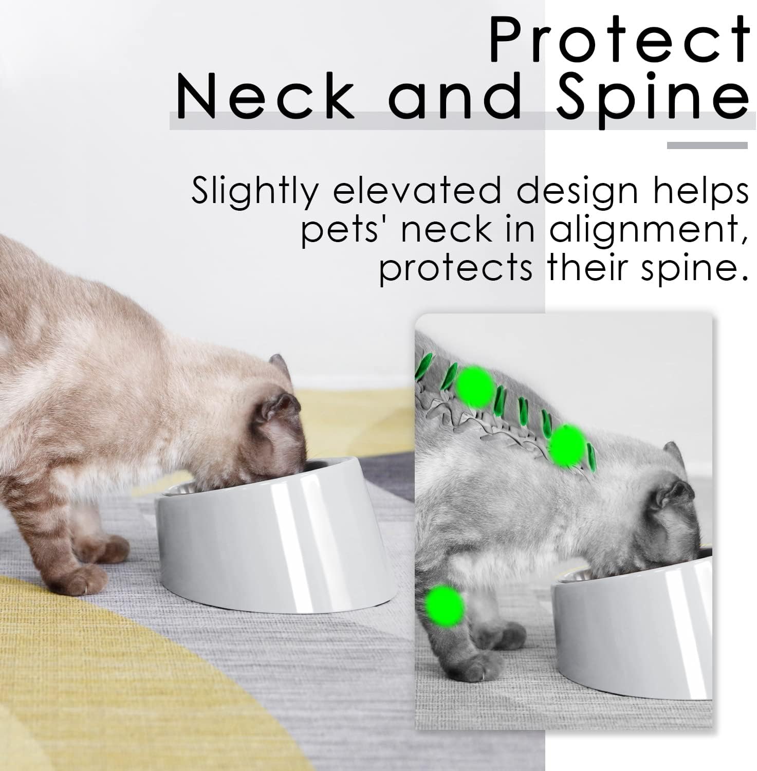 SuperDesign Mess Free 15° Slanted Bowl for Dogs | PetNestUK