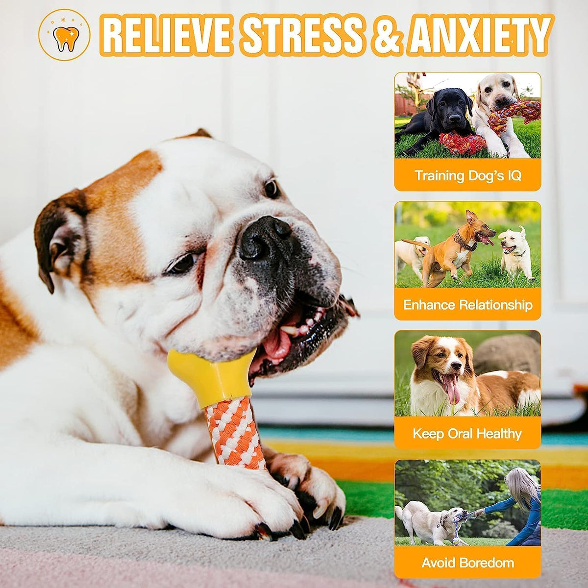 Aitmexcn Dog Rope Toys and Play Sets
