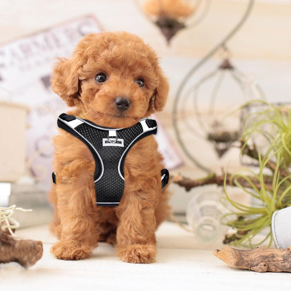 RAFIYU Dog Harness Medium Breathable Vest, | PetNestUK