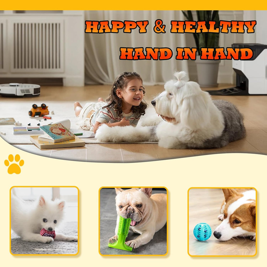 Leipple 20 Pack Luxury Dog Chew Toys for Puppy, | PetNestUK