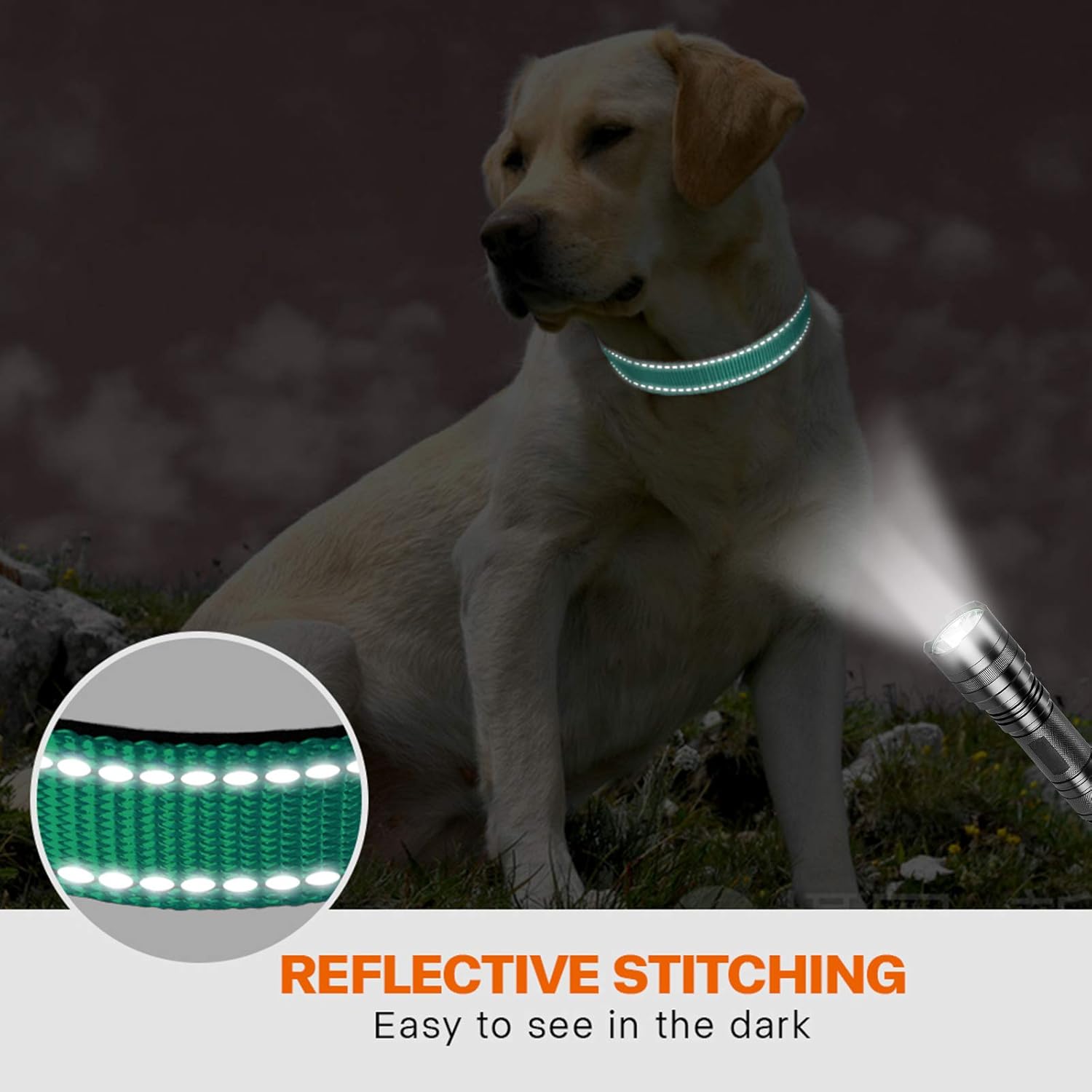 Taglory Reflective Nylon Dog Collar with Safety | PetNestUK