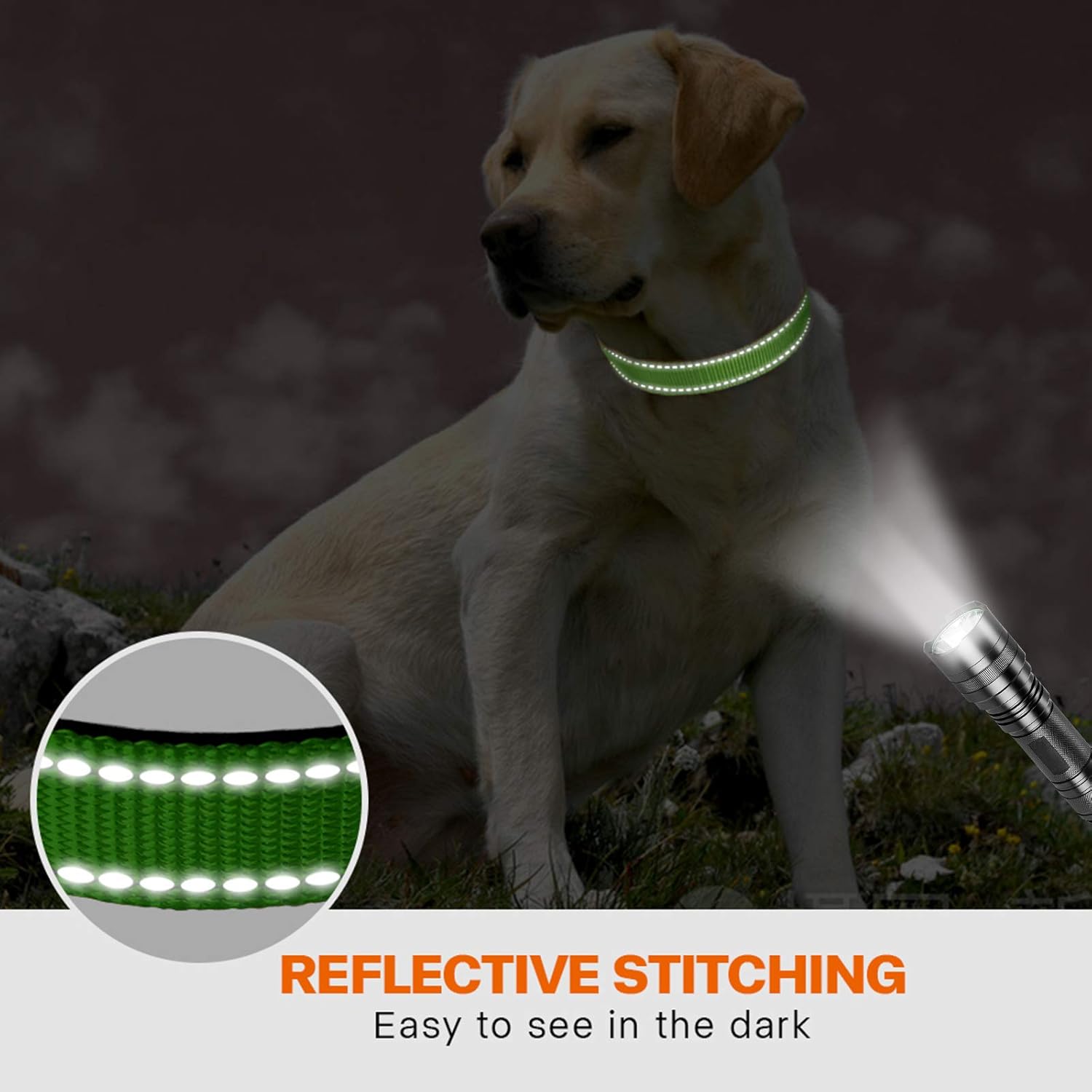 Taglory Reflective Nylon Dog Collar with Safety | PetNestUK