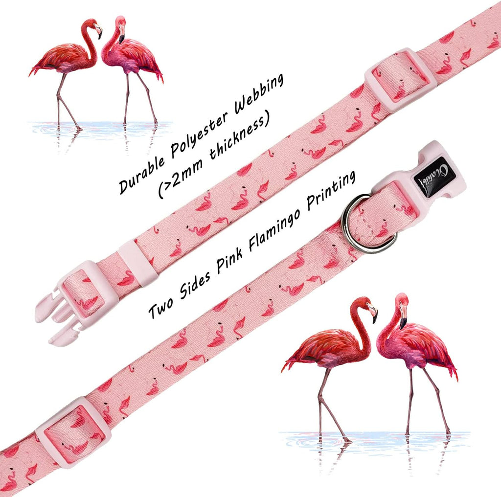 Olahibi Daisy Pattern Dog Collar and Leash | PetNestUK