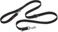 HALTI Training Lead | PetNestUK