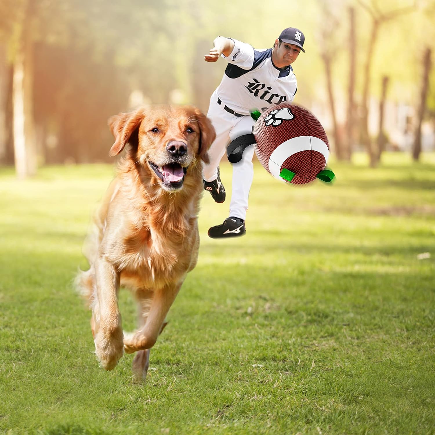 HETOO Interactive Dog Football Toys with Grab | PetNestUK
