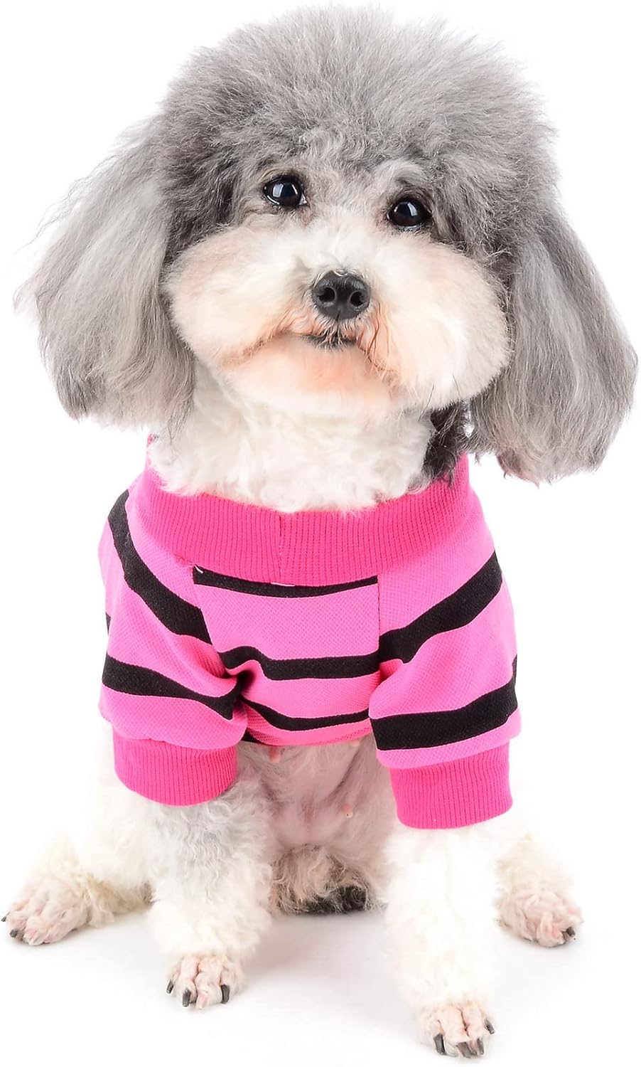 Zunea Lightweight Shirts for Small Dogs