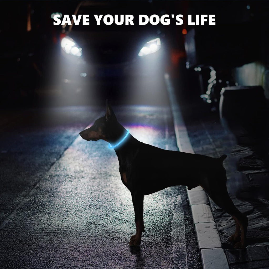 SerDa-Run Light Up Dog Collar, Dog Collar Lights | PetNestUK