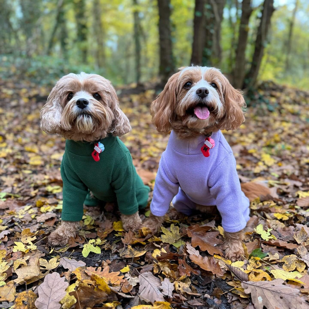 Warm Four-Legged Dog Fleece | PetNestUK