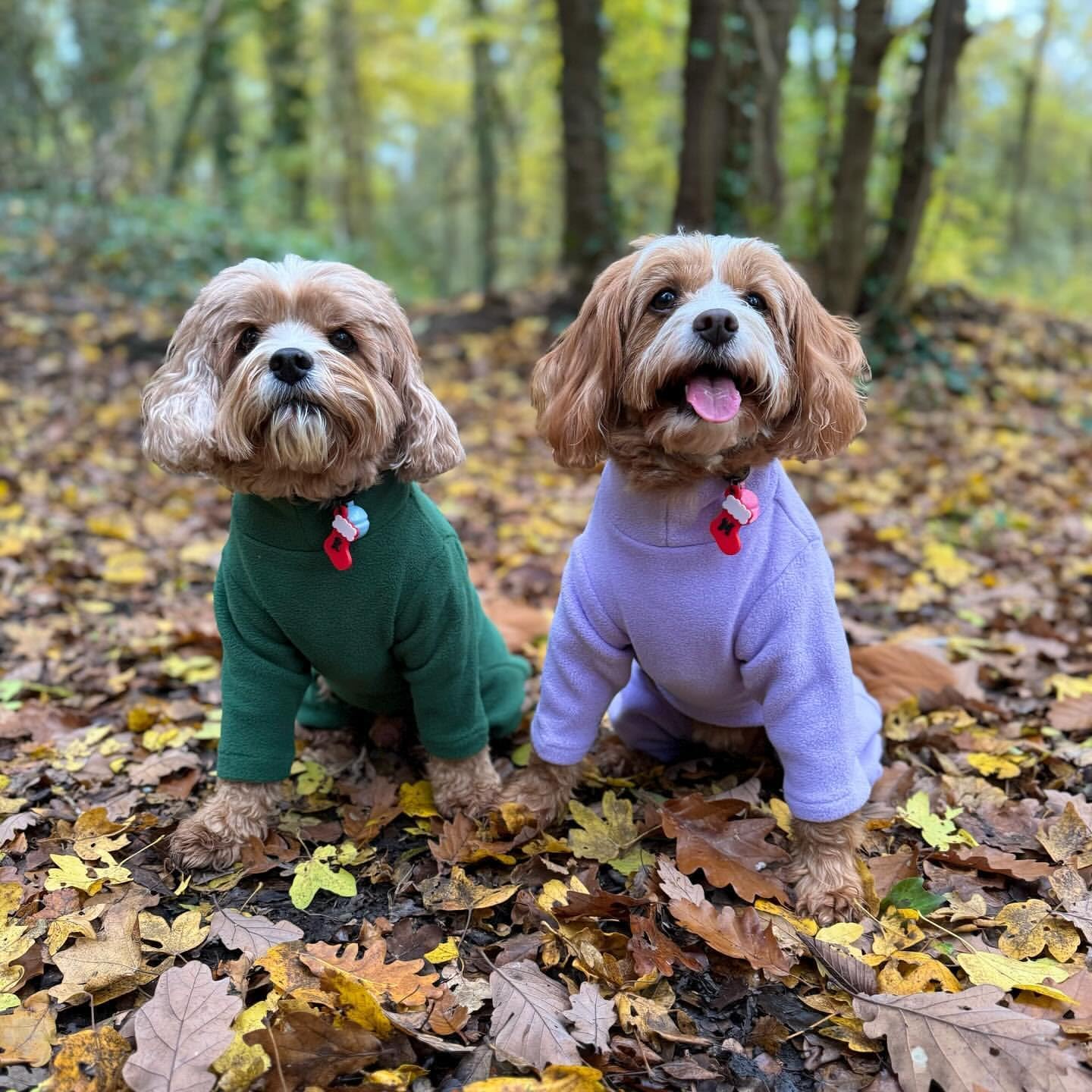Warm Four-Legged Dog Fleece | PetNestUK