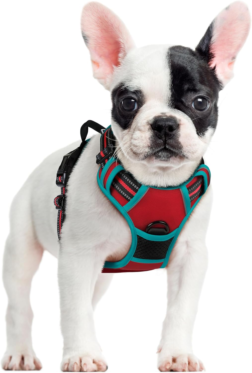 rabbitgoo Dog Harness Dog No Pull Pet Harness | PetNestUK