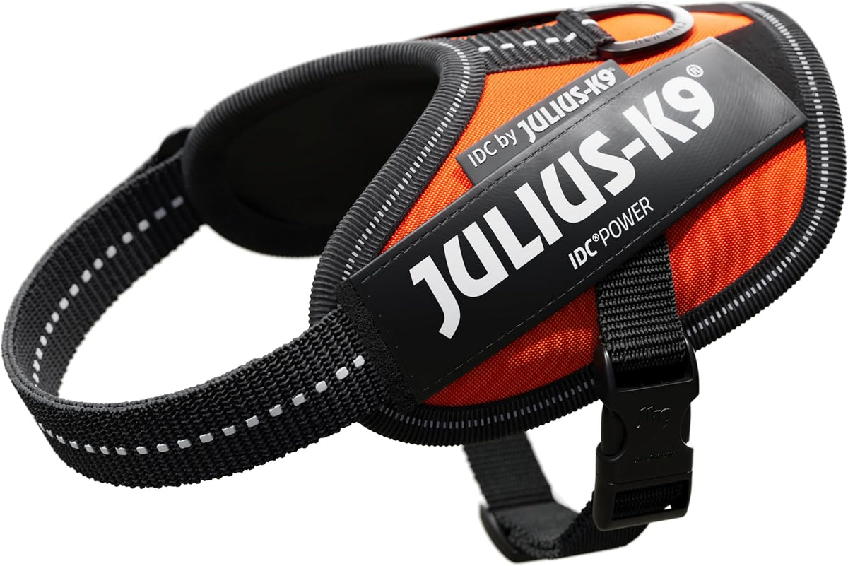 Julius-K9 IDC Powerharness for Small Dogs