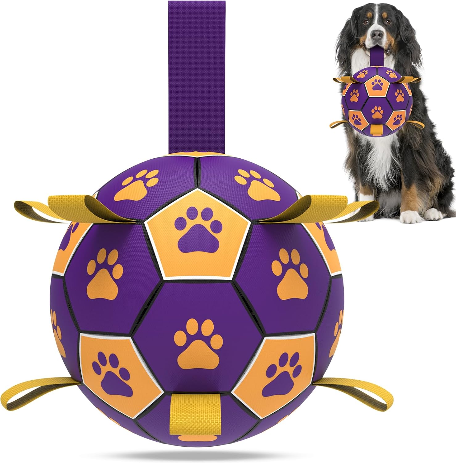 HETOO Interactive Dog Football Toys with Grab | PetNestUK