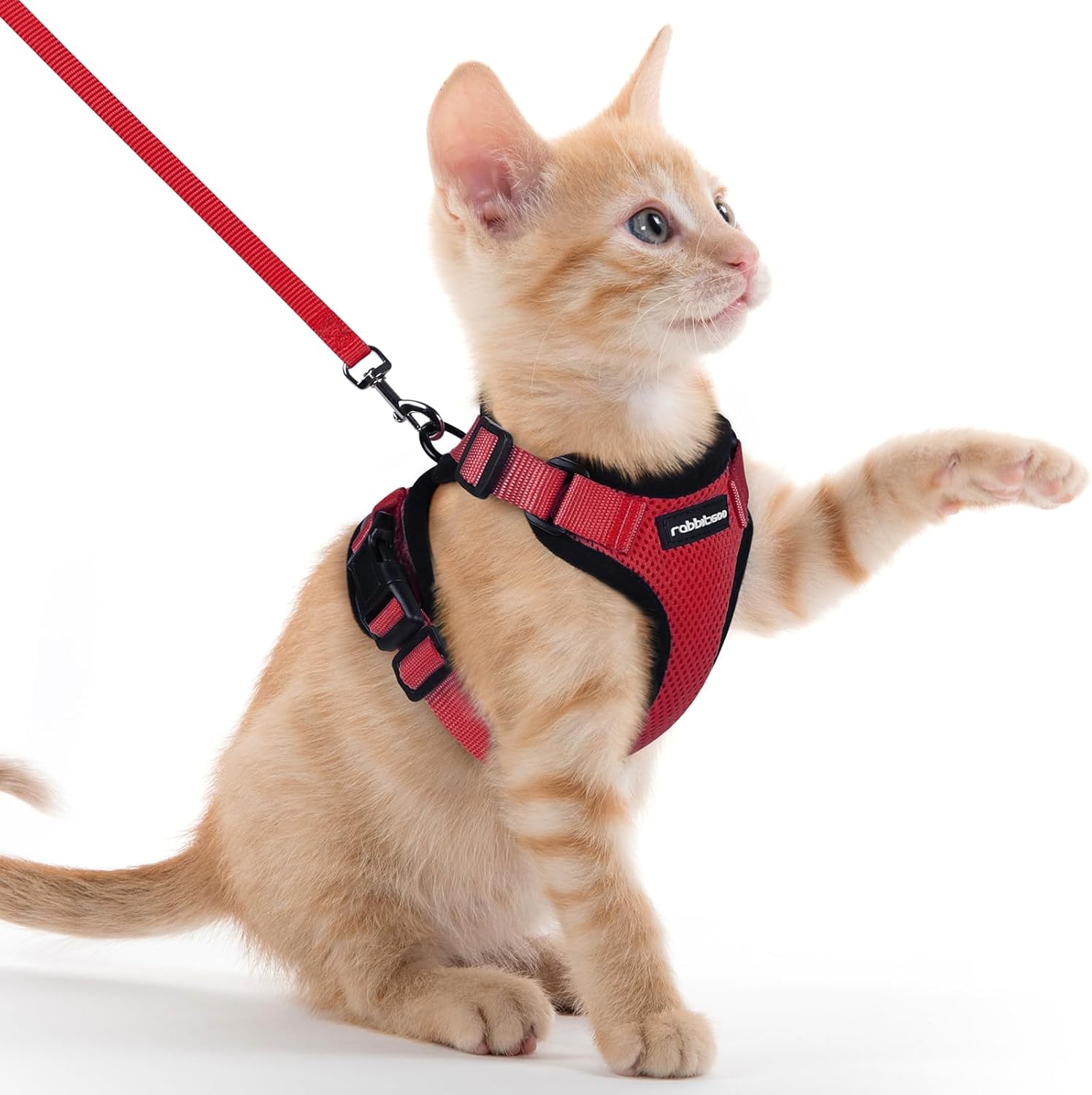 rabbitgoo Cat Harness and Lead Set, Escape Proof | PetNestUK