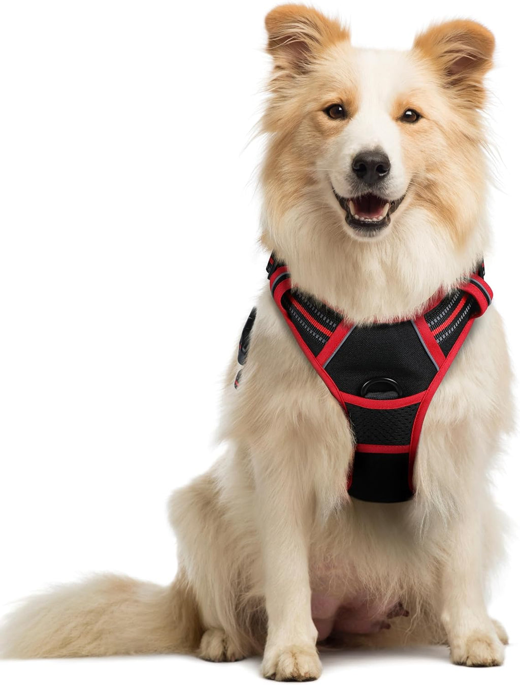 rabbitgoo Padded Dog Harness with Two Lead Clips