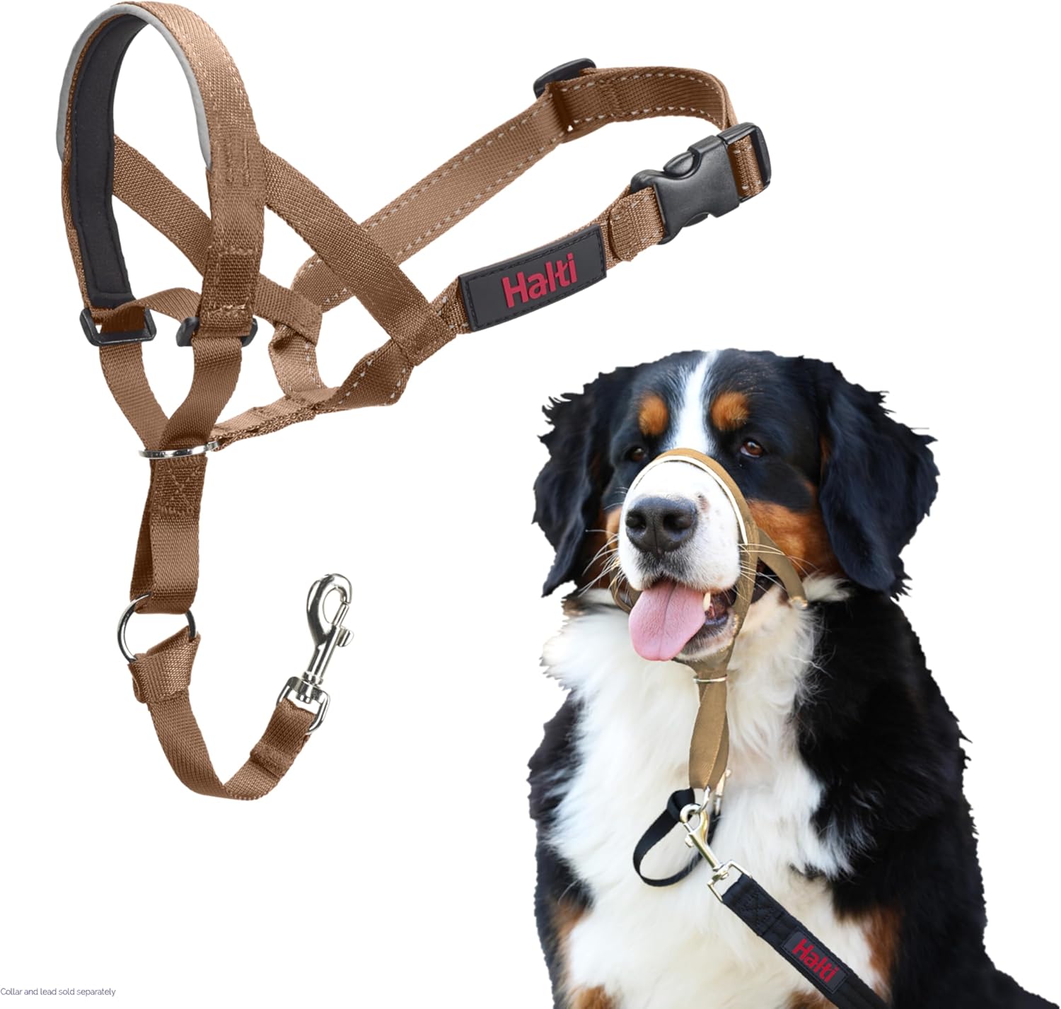 HALTI Headcollar, UK Bestselling Harness to Stop | PetNestUK