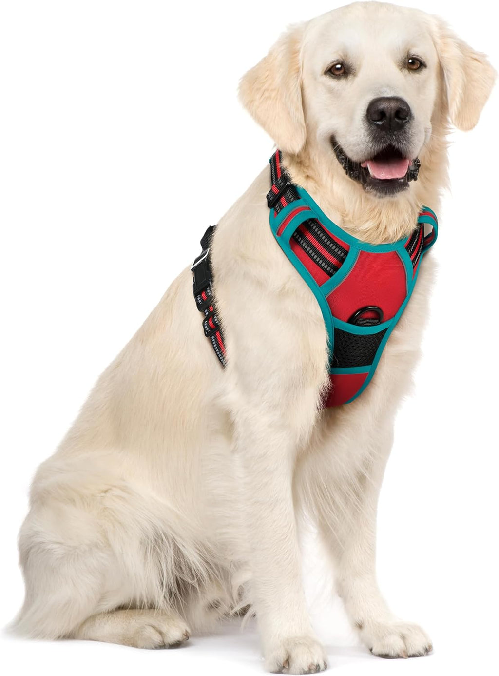 rabbitgoo Dog Harness Dog No Pull Pet Harness | PetNestUK
