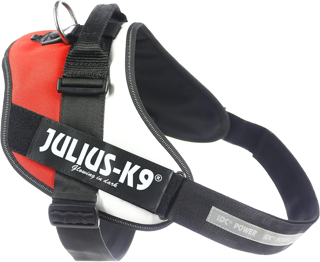 Julius-K9 IDC Powerharness for Small Dogs