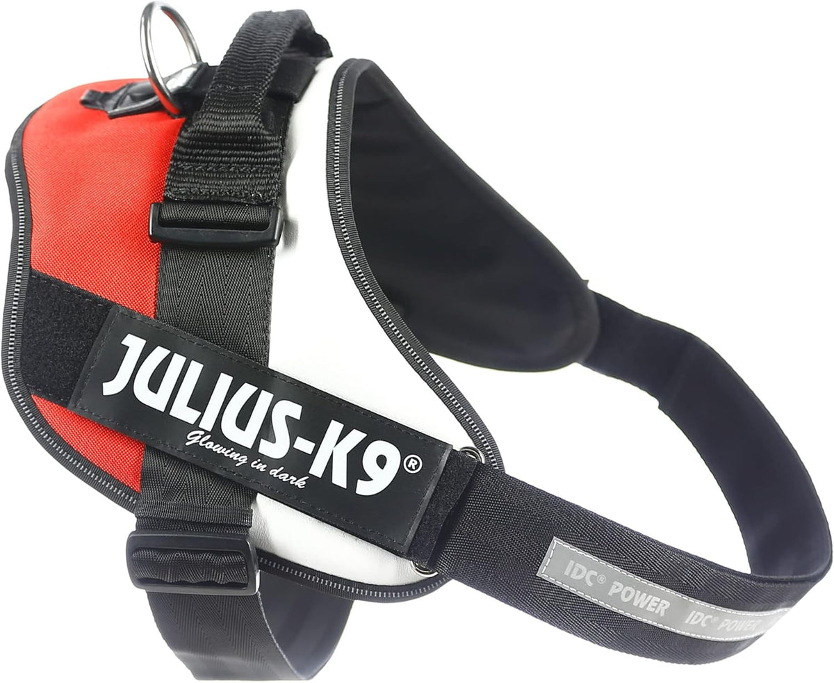 Julius-K9 IDC Powerharness for Small Dogs