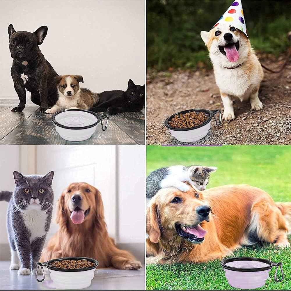 Collapsible Dog Bowl,Collapsible Dog Water Bowls | PetNestUK